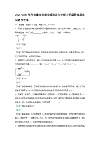 2023-2024学年安徽省合肥市瑶海区九年级上学期物理期末试题及答案