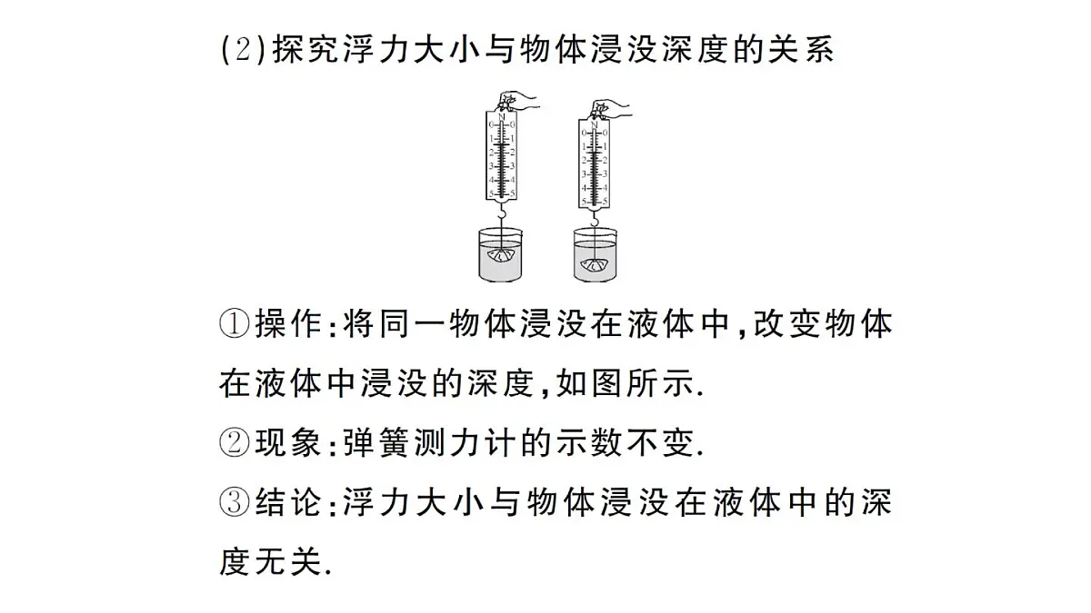 初中物理新沪科版八年级全册第九章第二节 探究:浮力大小与哪些因素有关课堂作业课件2025春第3页