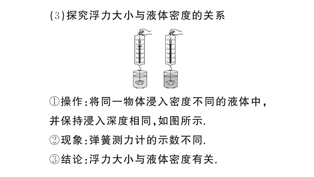 初中物理新沪科版八年级全册第九章第二节 探究:浮力大小与哪些因素有关课堂作业课件2025春第4页