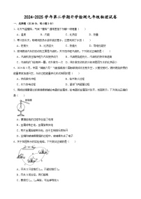 甘肃省武威第十三中学联片教研2024-2025学年九年级下学期开学检测 物理试卷