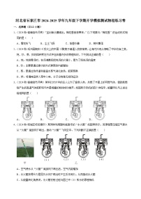 河北省石家庄市2024-2025学年九年级下学期开学适应性模拟测试 物理练习卷(含解析)
