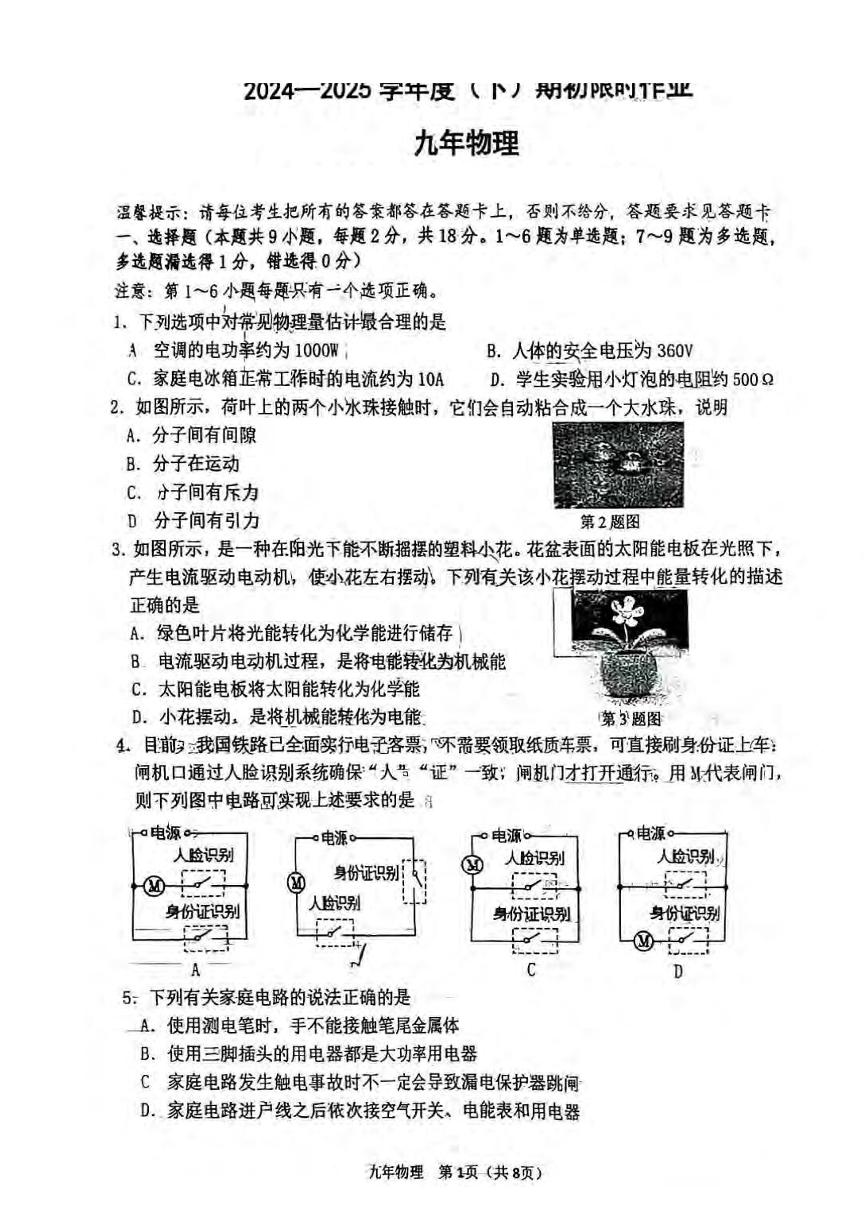 辽宁省鞍山市高新区2024-2025学年九年级下学期开学考试 物理试题（pdf版）