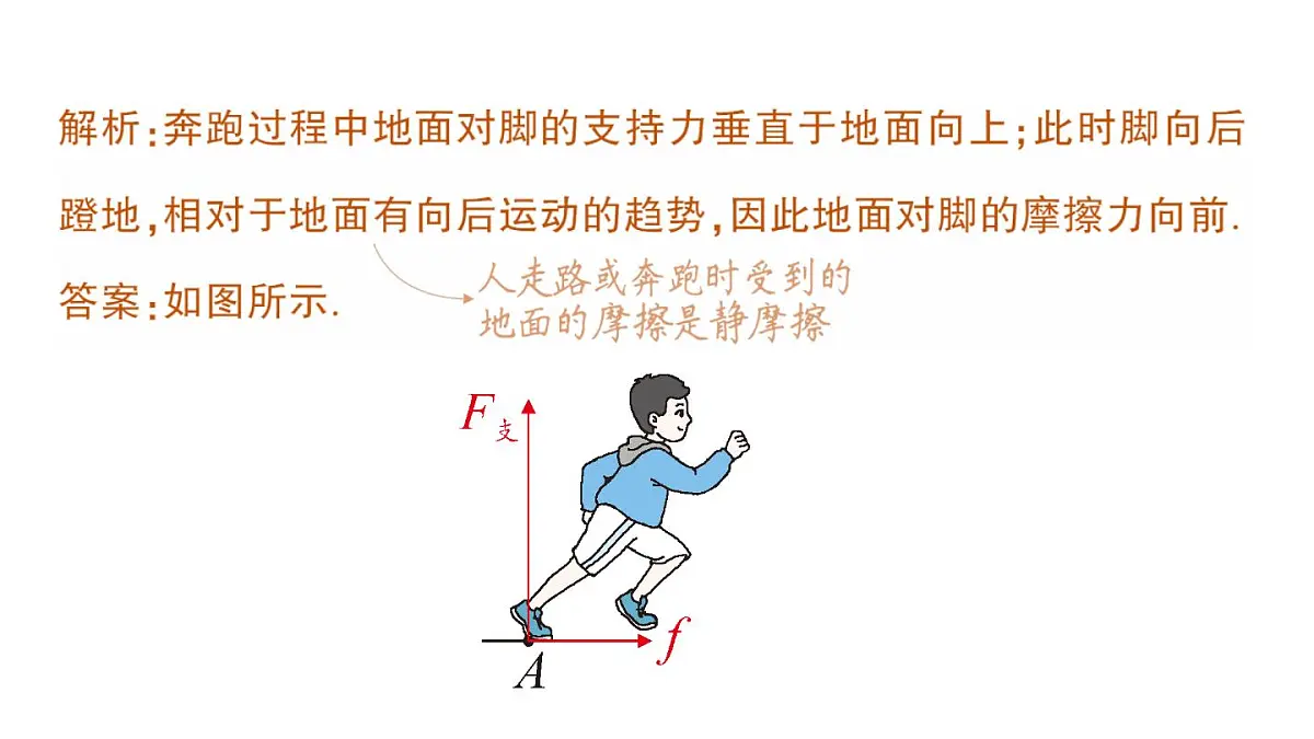 初中物理新教科版八年级下册第八章专题一 力学作图作业课件2025春第3页