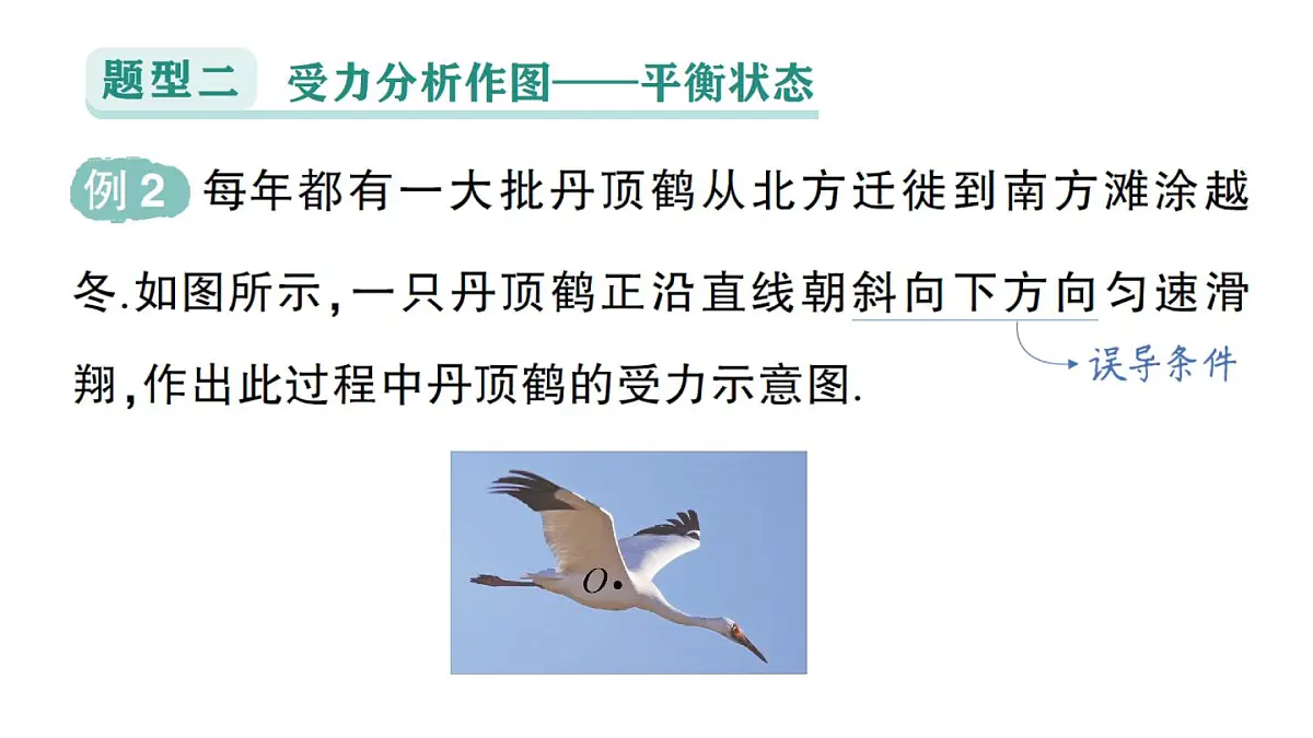 初中物理新教科版八年级下册第八章专题一 力学作图作业课件2025春第5页
