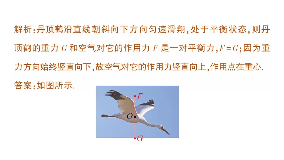 初中物理新教科版八年级下册第八章专题一 力学作图作业课件2025春第6页