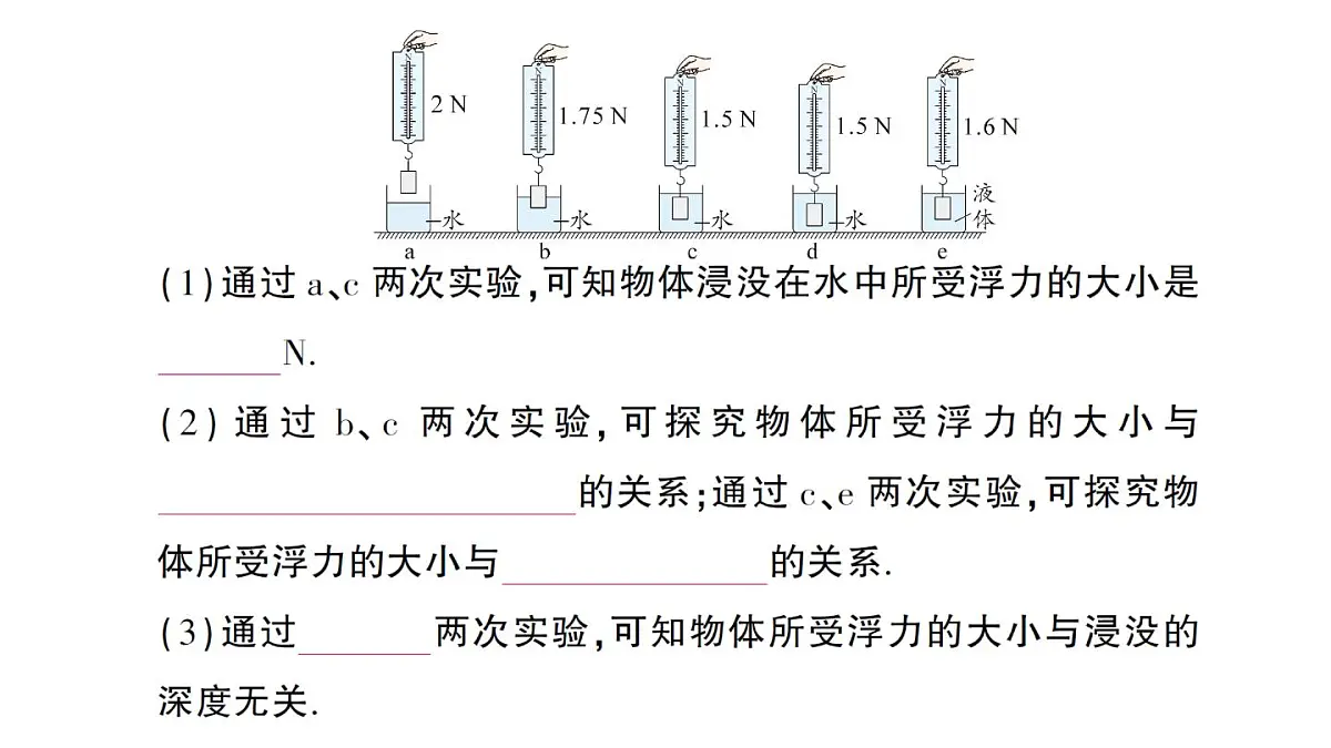 初中物理新教科版八年级下册第10章第3节 科学探究:浮力的大小作业课件2025春第3页