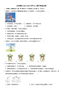 湖北省武汉市东西湖区2023-2024学年上学期期中考试九年级物理试题（word版含解析）