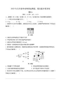 2025年九年级中考物理选择题、填空题专项训练题组6（附答案）