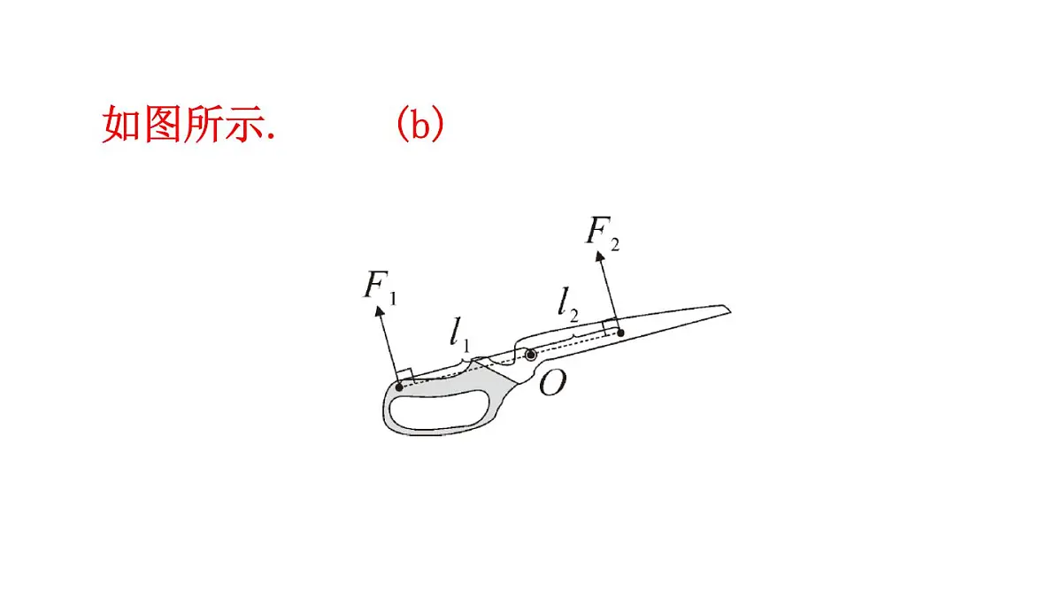初中物理新沪科版八年级全册第十一章第一节习题11.1教学课件2025春第5页