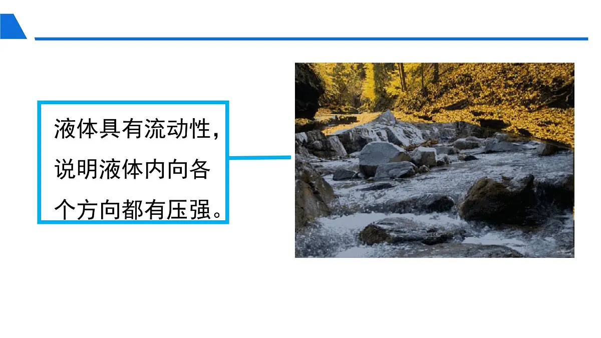 新人教版物理 八下 9-2 《液体的压强》 课件第5页