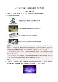 2025年中考第一次模擬考試卷：物理（陜西卷）（解析版）