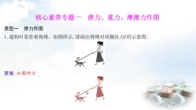 粤教沪科版八年级物理下册第六章力和机械核心素养专题一弹力、重力、摩擦力作图课件
