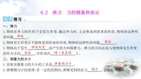 八年级下册（2024）弹力力的测量和表示教学ppt课件