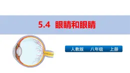 新人教版物理 八上課件：5-4 眼睛和眼鏡