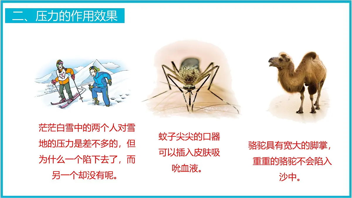 9.1 压强 课件-2024-2025学年人教版八年级物理下册第8页