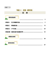 2025年中考物理复习专题复习专题10 压强（练习）（解析版）