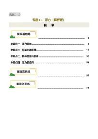 2025年中考物理复习专题复习专题11 浮力（练习）（解析版）