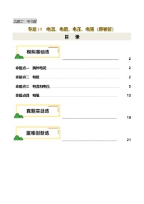2025年中考物理复习专题复习专题15  电流、电路、电压、电阻（练习）（原卷版）