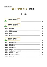 2025年中考物理复习专题复习专题19  电与磁 （讲义）（解析版）