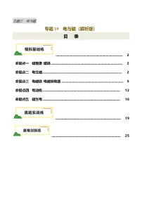 2025年中考物理复习专题复习专题19 电与磁(练习)(解析版)