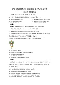 【物理】广东省揭阳市惠来县2024-2025学年九年级上学期期末考试试题（解析版）