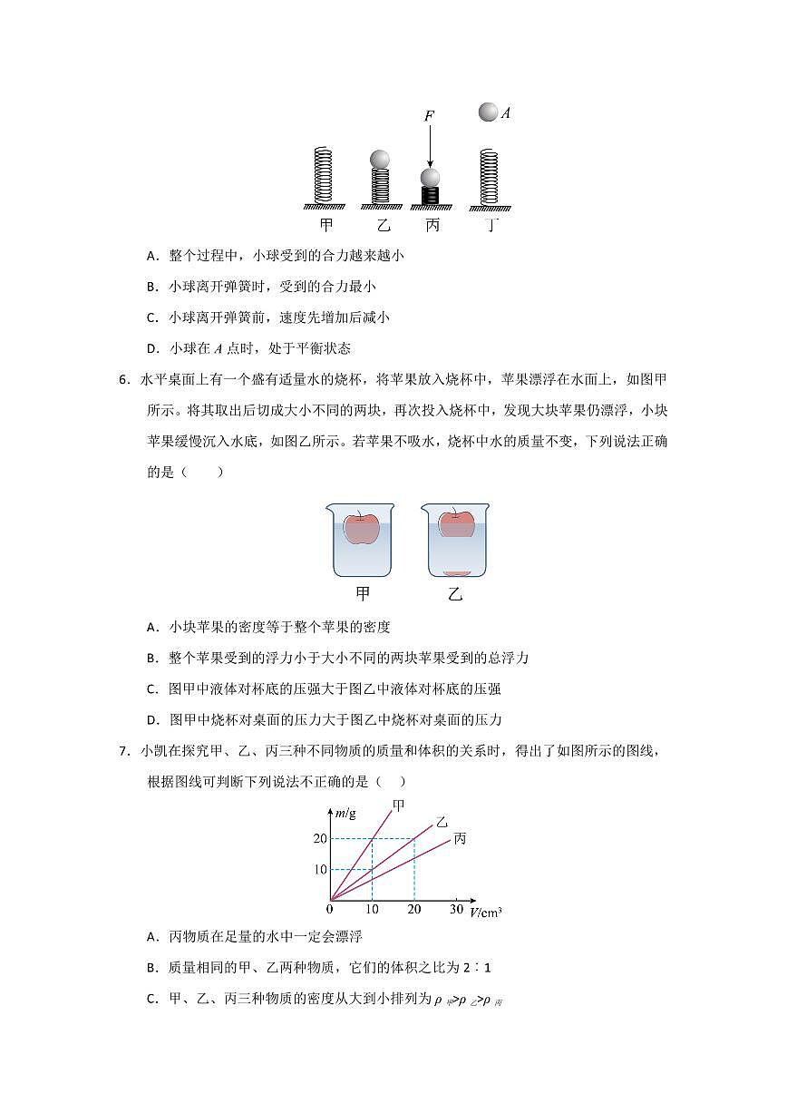 期中考试模拟测试(提升卷)(原卷版)第3页