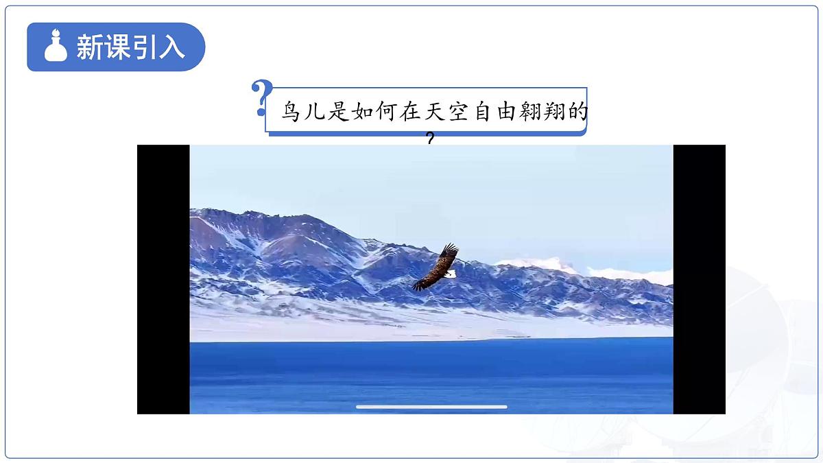 10.1《在流体中运动》课件 物理教科版(2024)八年级下册第十章教案第3页