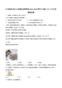 江苏省苏州市工业园区星湾学校2024~2025学年八年级（下）3月月考物理试卷【含答案】