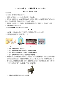 2025年中考第二次模拟考试卷：物理（武汉卷）（考试版）