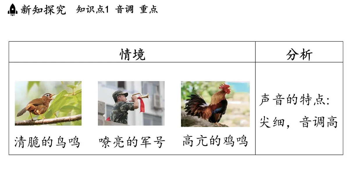 第三章 第二节 探究乐音的特性-八年级上学期物理同步课件(教科版2024)第4页