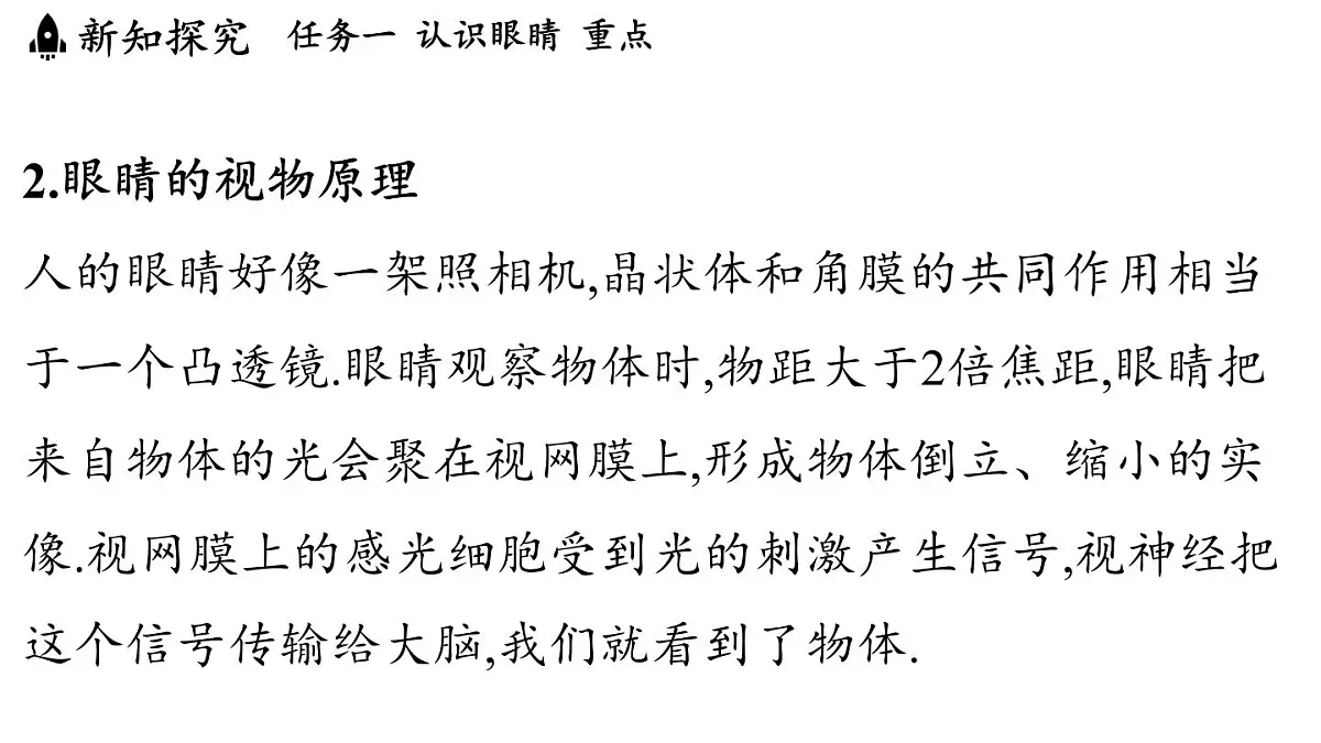 第四章 第六节 跨学科实践_眼睛-八年级上学期物理同步课件(教科版2024)第4页
