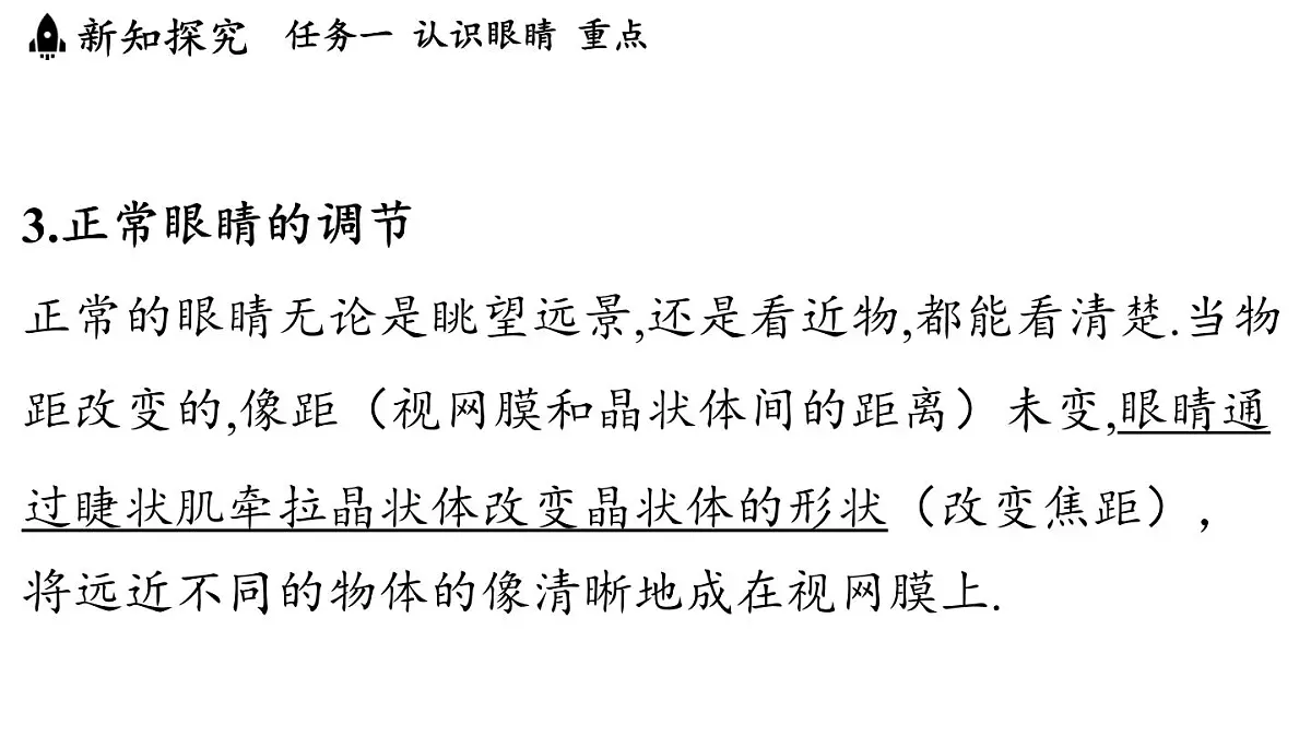 第四章 第六节 跨学科实践_眼睛-八年级上学期物理同步课件(教科版2024)第6页