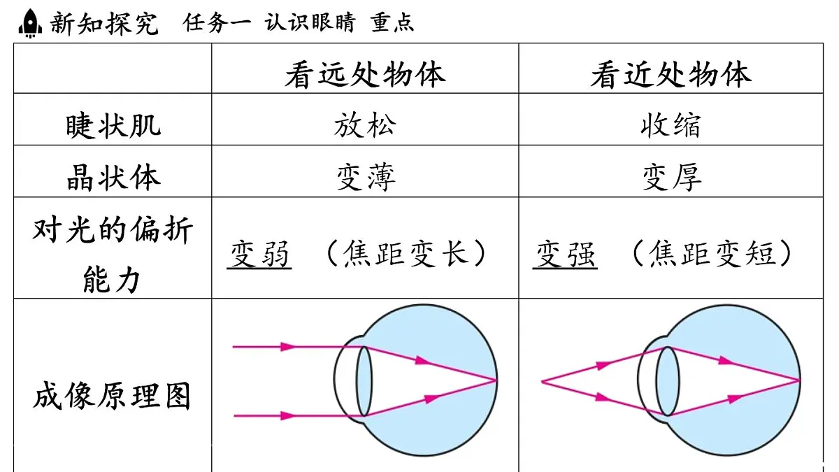 第四章 第六节 跨学科实践_眼睛-八年级上学期物理同步课件(教科版2024)第7页
