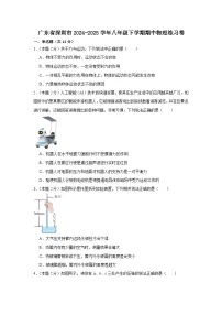 广东省深圳市2024-2025学年八年级下学期期中物理练习卷