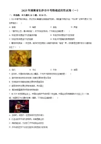 2025年湖南省长沙市中考一模物理试题(原卷版+解析版)