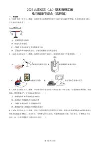 2025北京初三（上）期末真题物理汇编：电与磁章节综合（选择题）