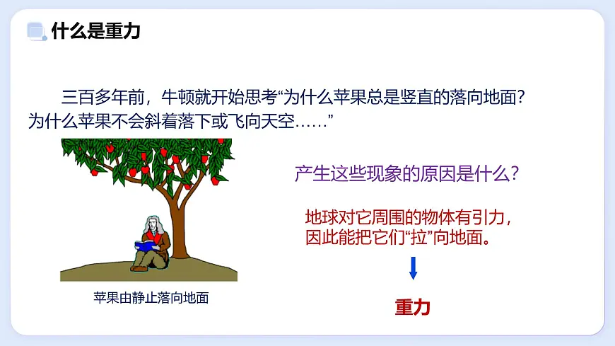 7.4 重力—初中物理八年级上册 同步教学课件(教科版2024)第3页