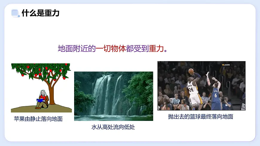7.4 重力—初中物理八年级上册 同步教学课件(教科版2024)第5页
