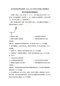 辽宁省丹东市东港市2024-2025学年九年级上学期期末教学质量监测物理试卷（解析版）
