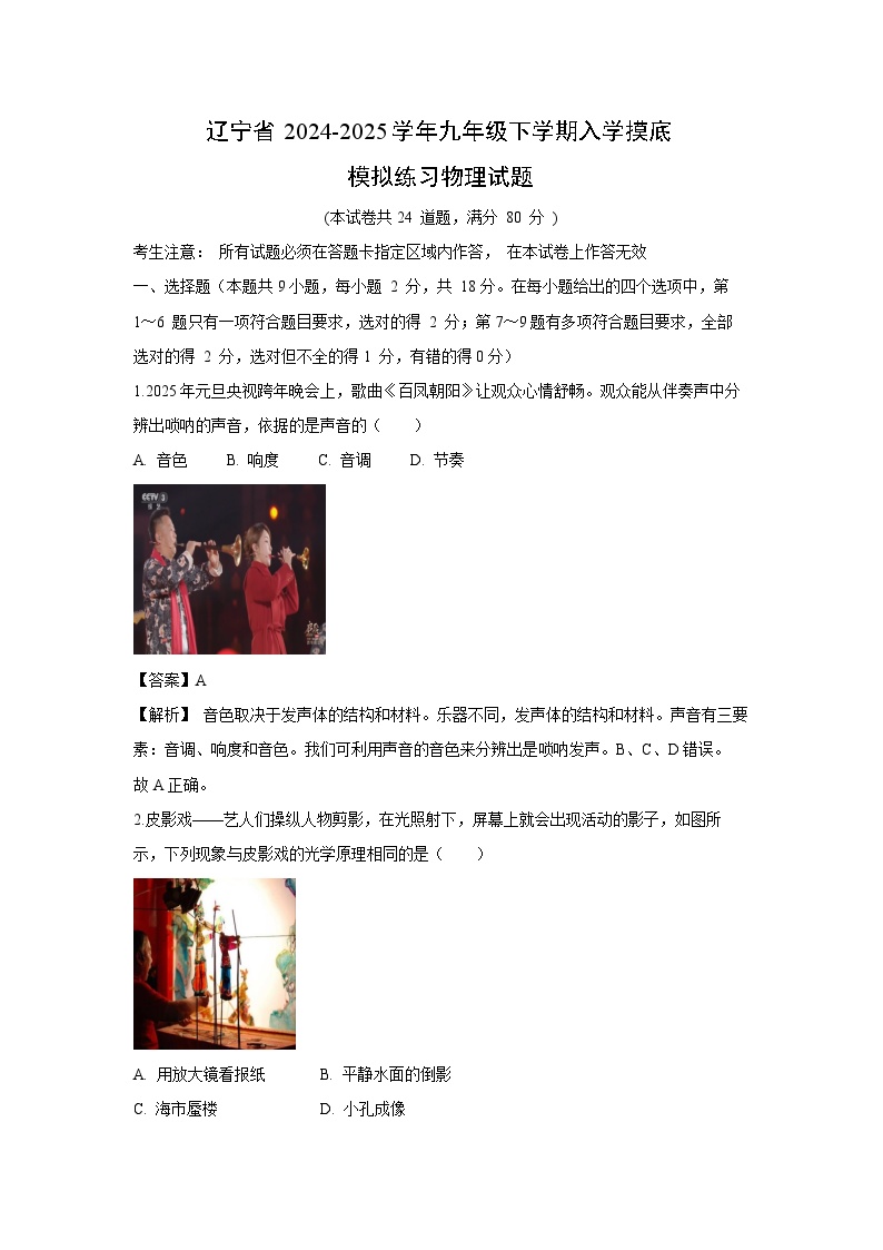 辽宁省2024-2025学年九年级下学期入学摸底模拟练习物理试卷（解析版）