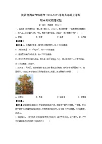 陕西省渭南市韩城市2024-2025学年九年级上学期期末考试物理试卷（解析版）