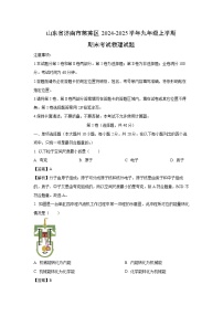 山东省济南市莱芜区2024-2025学年九年级上学期期末考试物理试卷(解析版)
