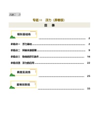 2025年中考物理一轮培优讲练 专题11 浮力（练习）（原卷版）