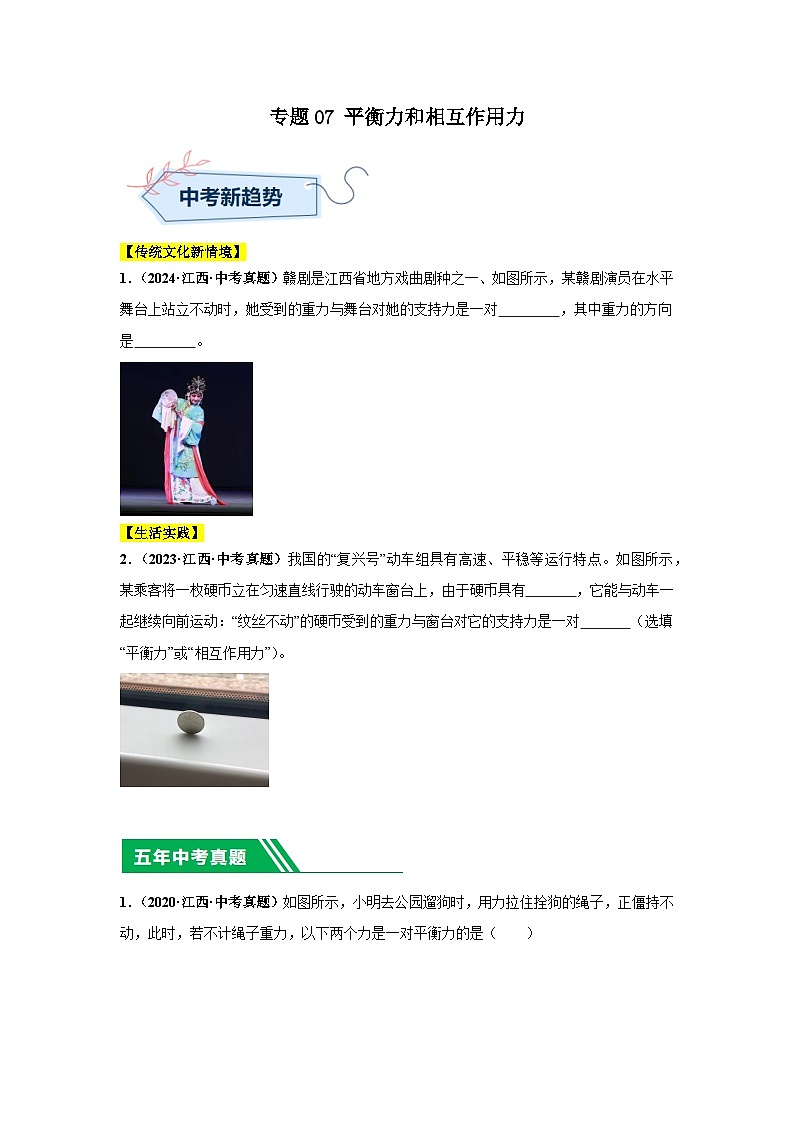 專題07 平衡力和相互作用力（原卷版）第1頁(yè)