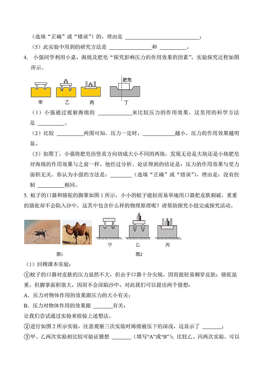 9.1 压强(专项训练)(原卷版)2024-2025学年八年级下学期物理同步题型分组专项训练(人教版2024)第3页