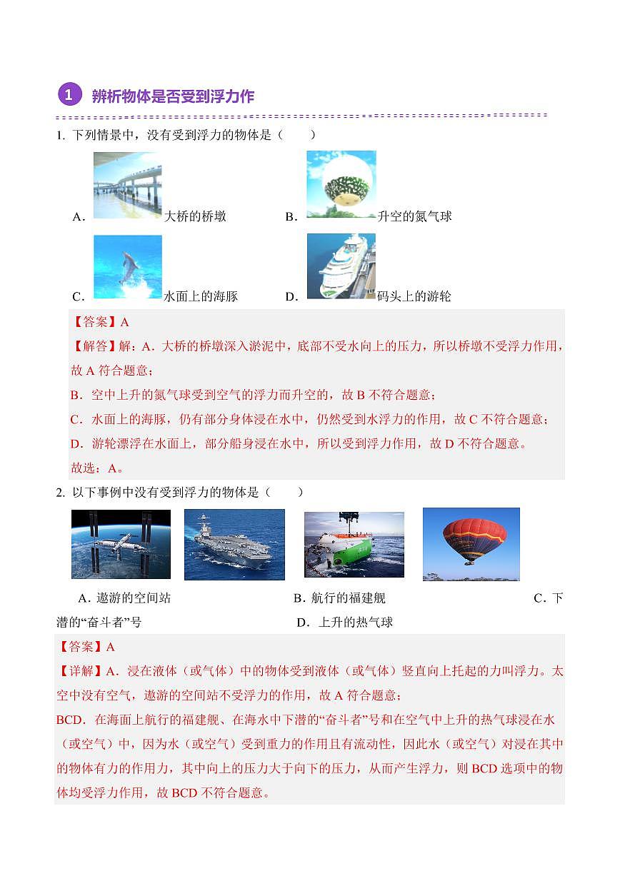 10.1 浮力(专项训练)(解析版)2024-2025学年八年级下学期物理同步题型分组专项训练(人教版2024)第2页
