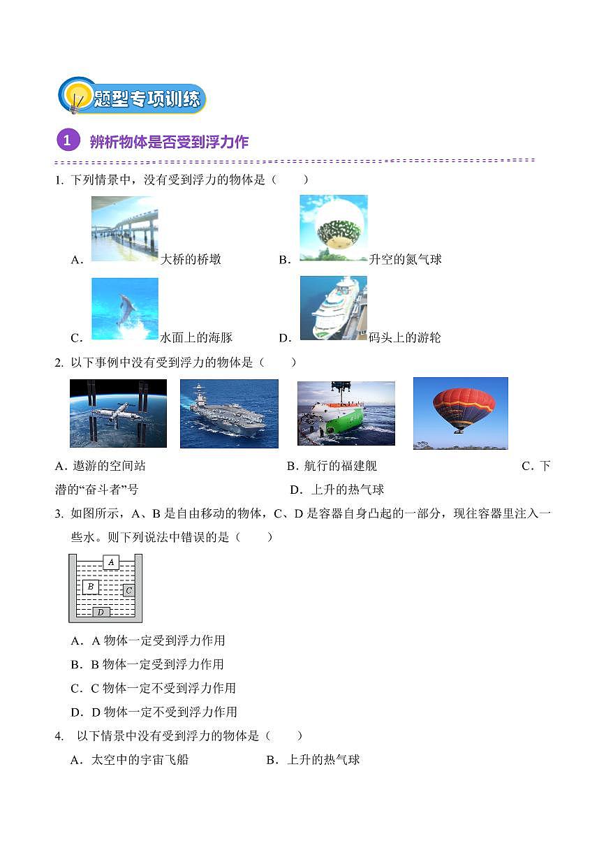 10.1 浮力(专项训练)(原卷版)2024-2025学年八年级下学期物理同步题型分组专项训练(人教版2024)第2页