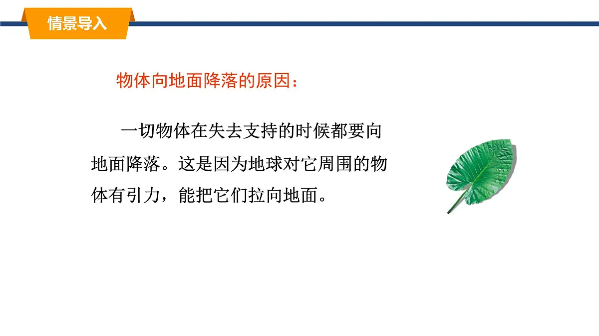 2025年春教科版物理八年级下册同步授课课件 7_4_重力第4页