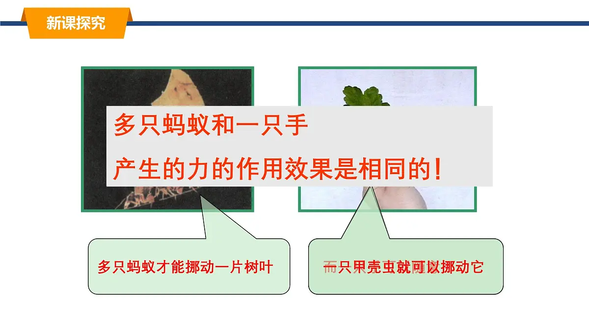 2025年春教科版物理八年级下册同步授课课件 8_2_力的平衡(1)第3页