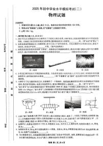 2025年安徽省合肥市高新区中考二模物理试题（中考模拟）